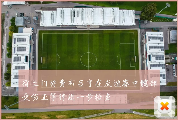 荷兰门将费布吕亨在友谊赛中髋部受伤正等待进一步检查