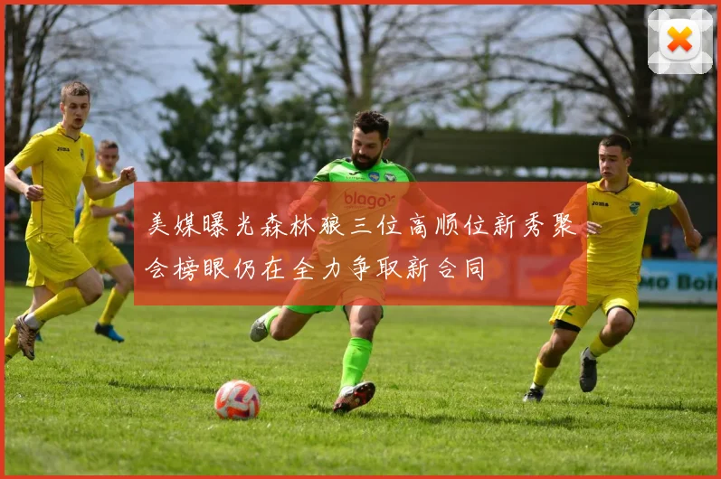 美媒曝光森林狼三位高顺位新秀聚会榜眼仍在全力争取新合同